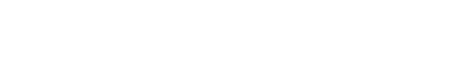 netApp Logo